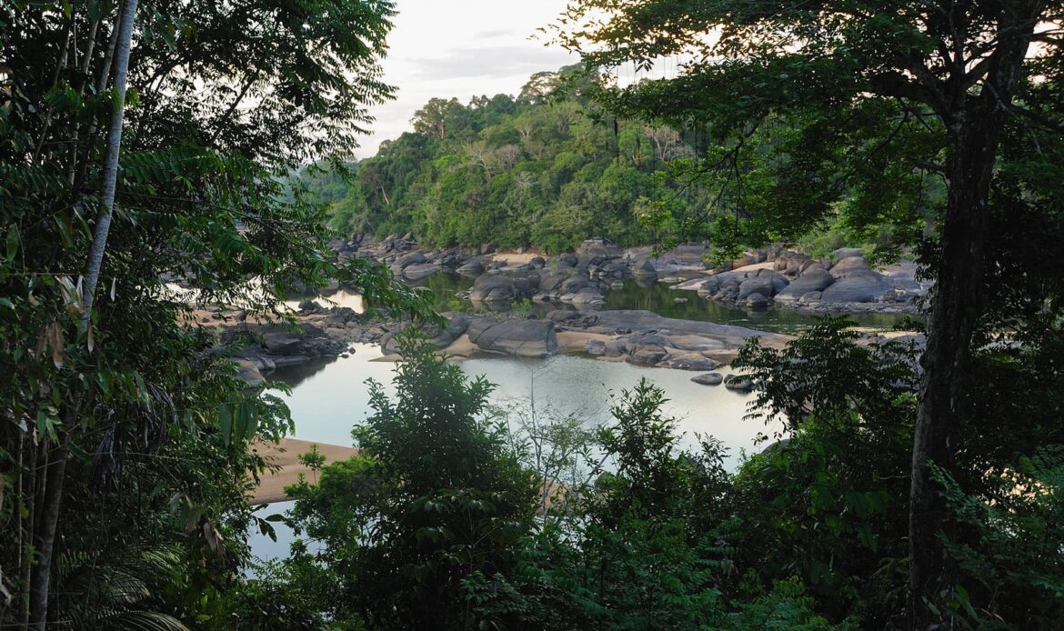 Bericht vanuit het veld: Busi Taki Shoots in de mangroves