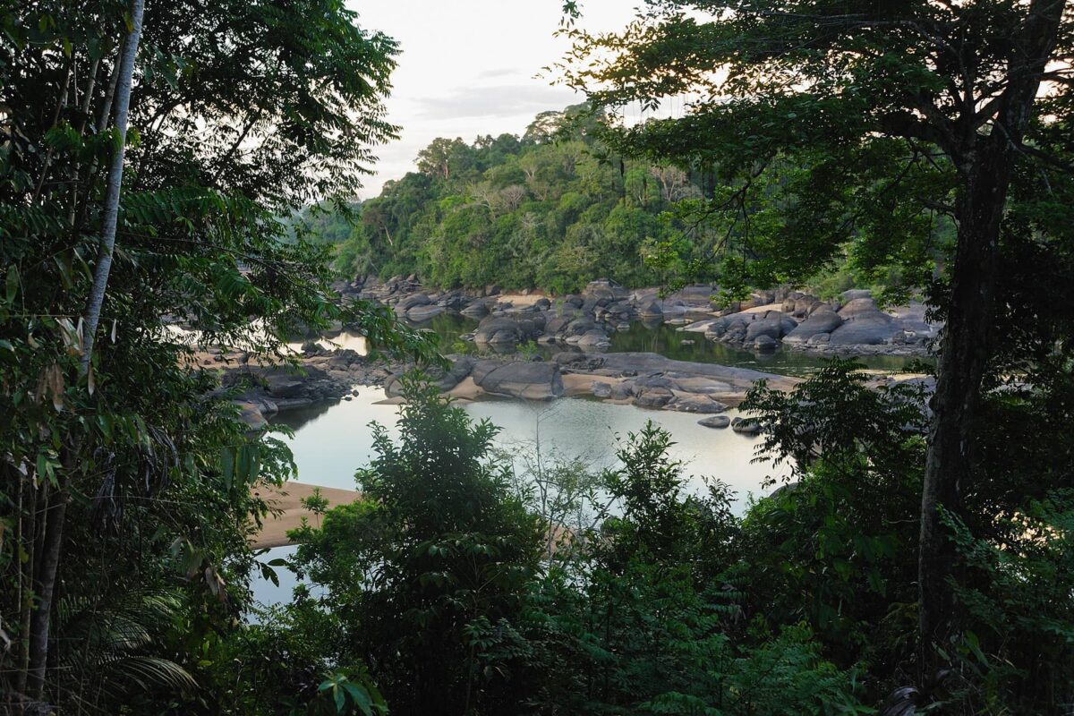Bericht vanuit het veld: Busi Taki Shoots in de mangroves