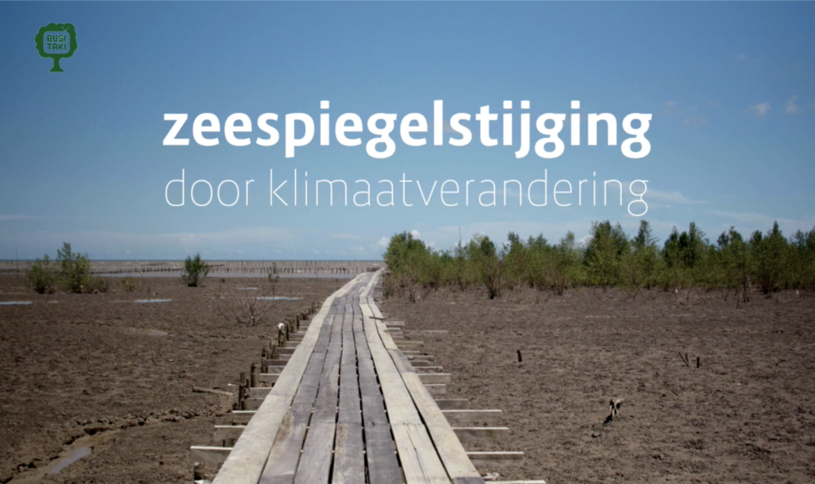 Busi Taki afl. 5: Wat is de impact van zeespiegelstijging op Suriname?