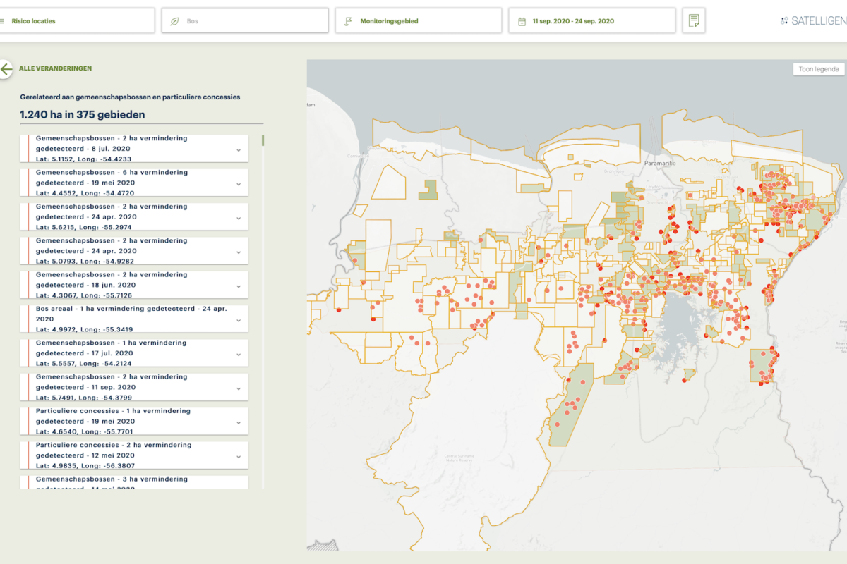 Vermindering van bosbedekking in Suriname t/m september 2020 (kwartaal 1, 2 en 3)