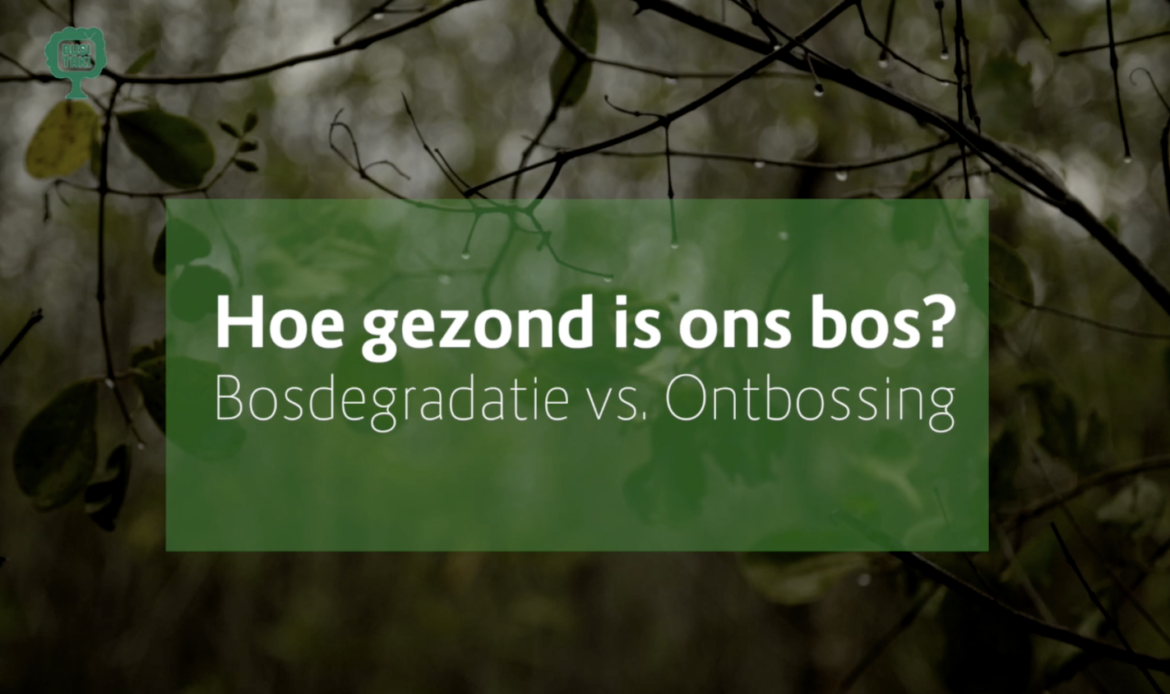 Afl. 3 Busi Taki: ontbossing vs. bosdegradatie