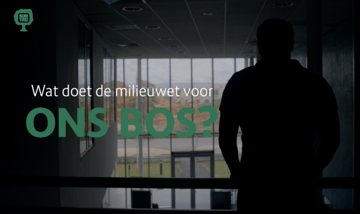 Afl. 6 Busi Taki: Wat doet de milieuwet voor ons bos?