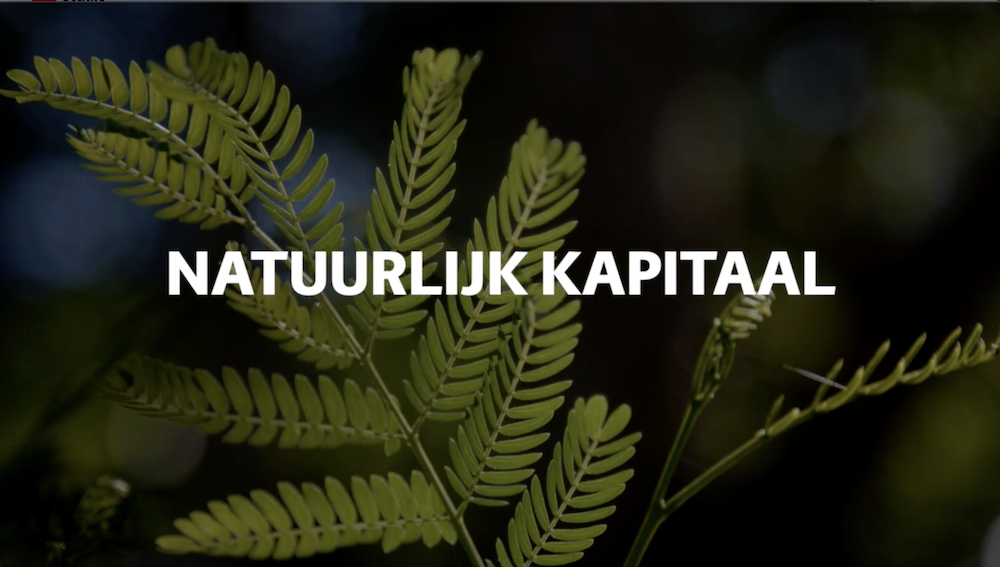 Afl. 11 Busi Taki: Natuurlijk kapitaal