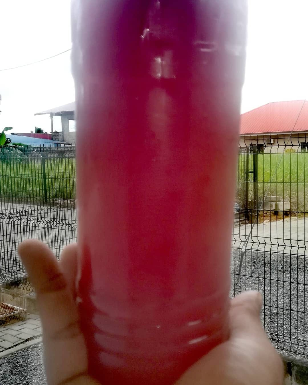 Christio ontdekt… busi dresi