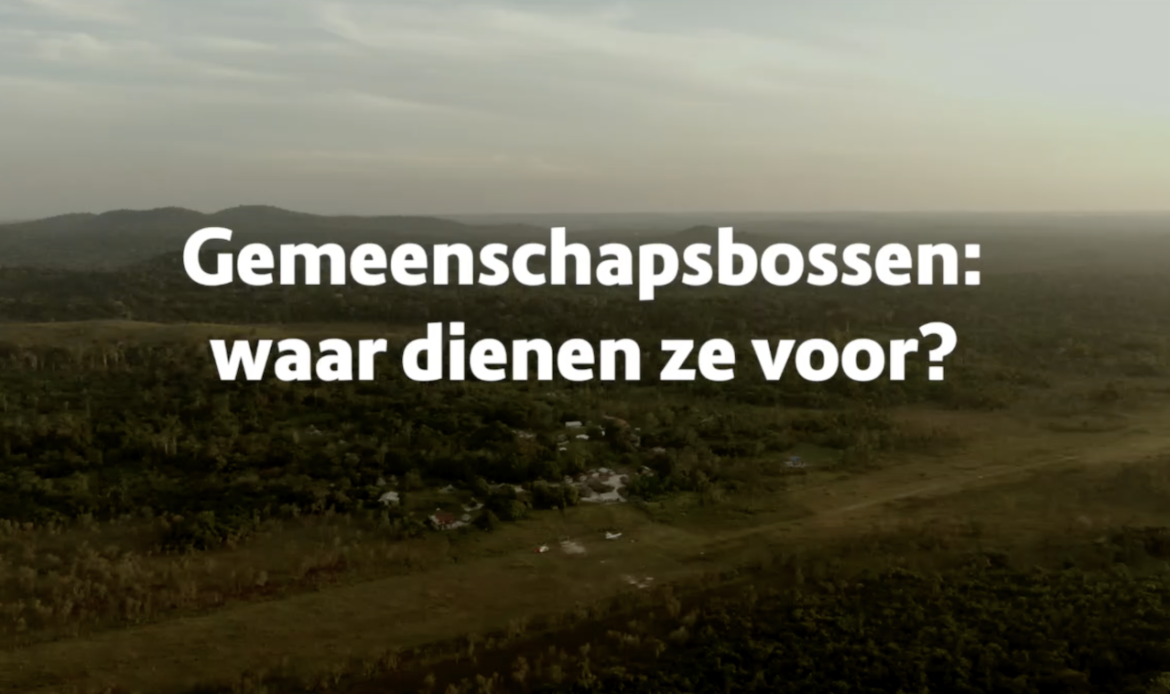 Afl. 12 Busi Taki: waar dienen gemeenschapsbossen voor?