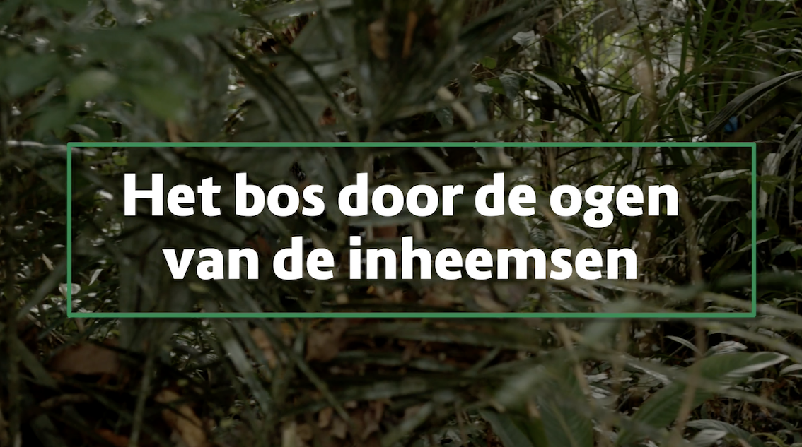 Afl. 13 Busi Taki: het bos door de ogen van inheemsen