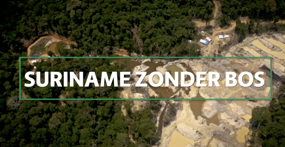 Afl. 15 Busi Taki: Suriname zonder bos