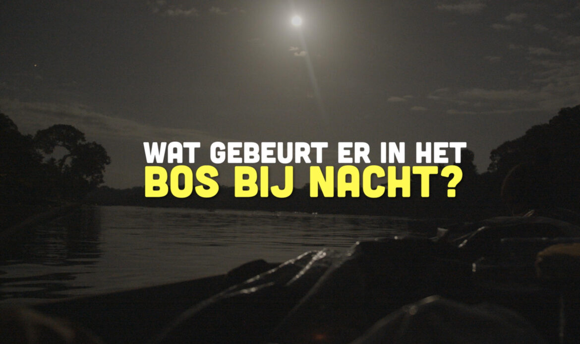 Busi Taki: Wat gebeurt er in het bos bij nacht? (S0204)
