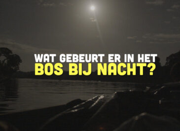 Busi Taki: Wat gebeurt er in het bos bij nacht? (S0204)
