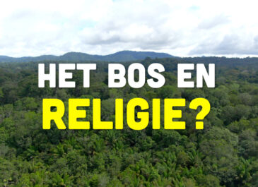Busi Taki: Het bos en religie? (SO207)