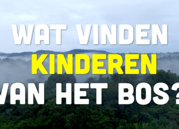 Busi Taki: Wat vinden kinderen van het bos? (S0209)
