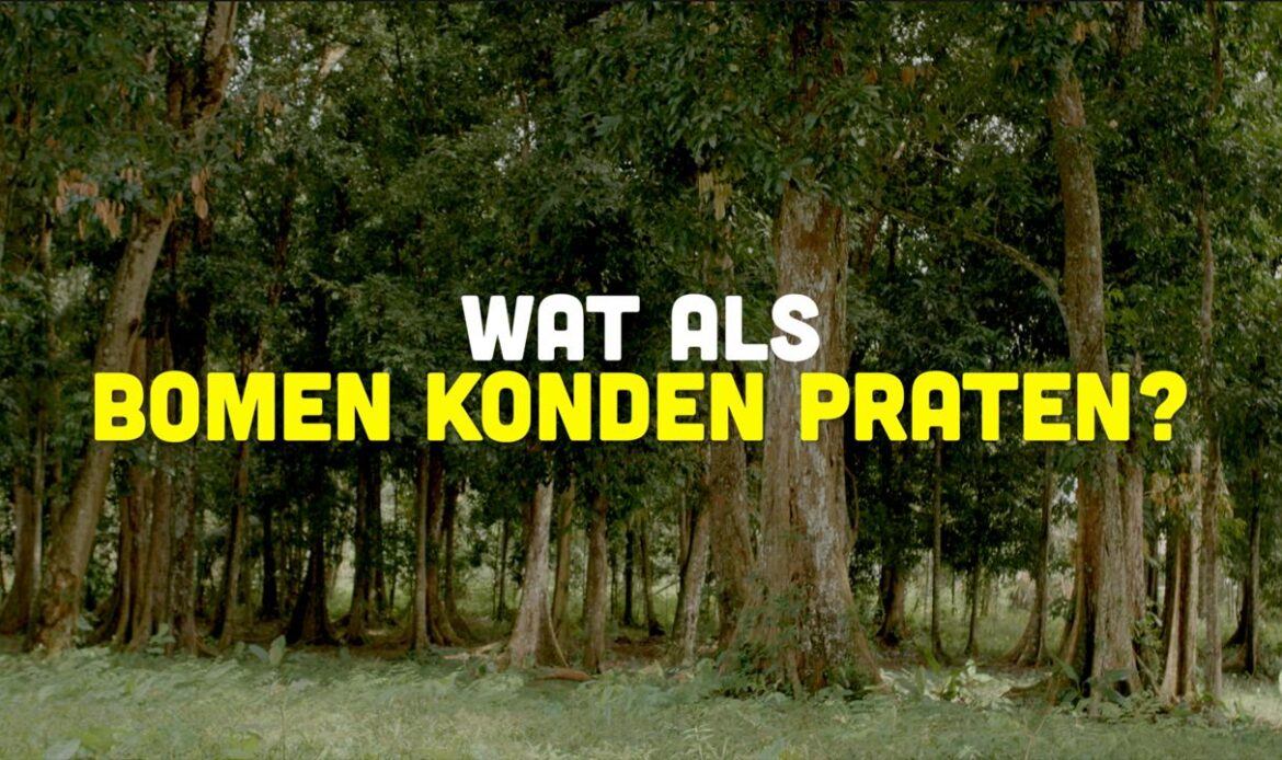 Busi Taki: Wat als bomen konden praten? (S0205)