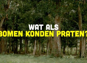 Busi Taki: Wat als bomen konden praten? (S0205)