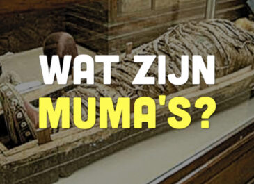 Busi Taki: Wat zijn MUMA’s? (S0208)