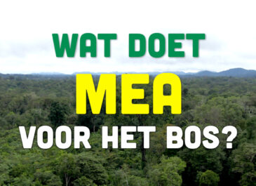 Busi Taki: Wat doet MEA voor het bos?