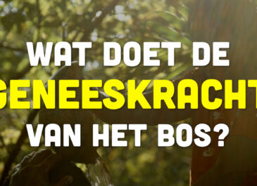 Busi Taki: Wat doet de geneeskracht van het bos (S02012)