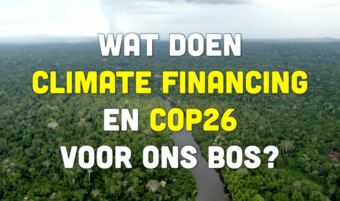 Busi Taki: Wat doen climate financing en COP26 voor ons bos? (S0219)