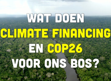Busi Taki: Wat doen climate financing en COP26 voor ons bos? (S0219)