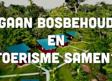 BUSI TAKI: Gaan bosbehoud en toerisme samen? (S0216)