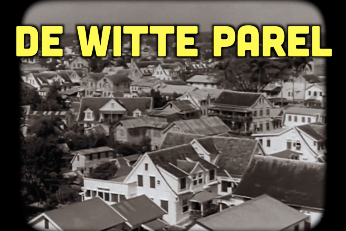 Busi Taki: De binnenstad vs Het bos (SO3E5)