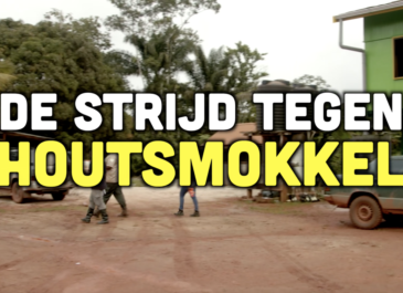 Busi Taki: De strijd tegen houtsmokkel (S03E8)