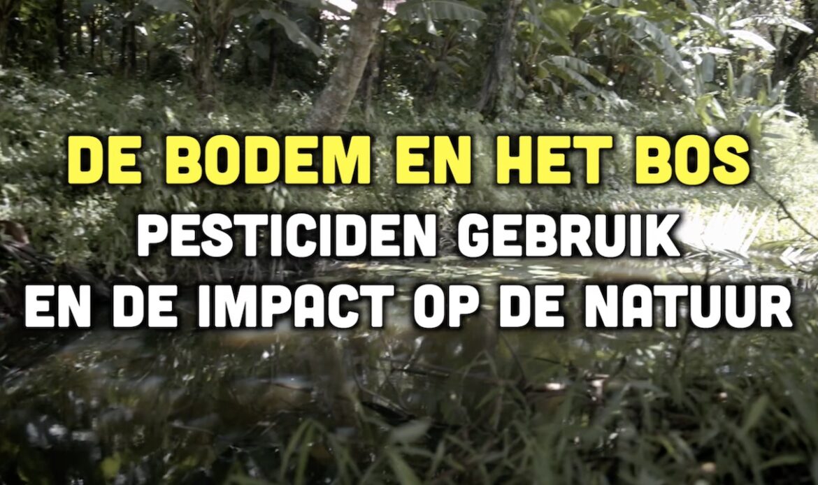 Busi Taki: De bodem en het bos (S0318)