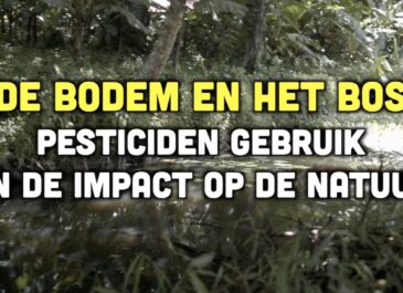 Busi Taki: De bodem en het bos (S0318)