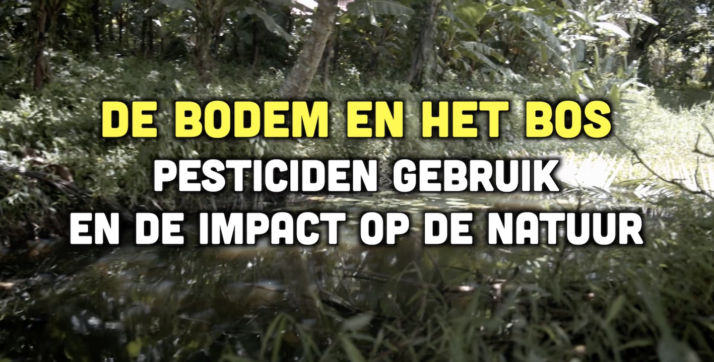 Busi Taki: De bodem en het bos (S0318)