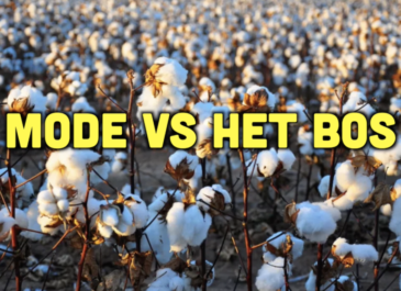 Busi Taki: Mode vs het Bos (S0320)