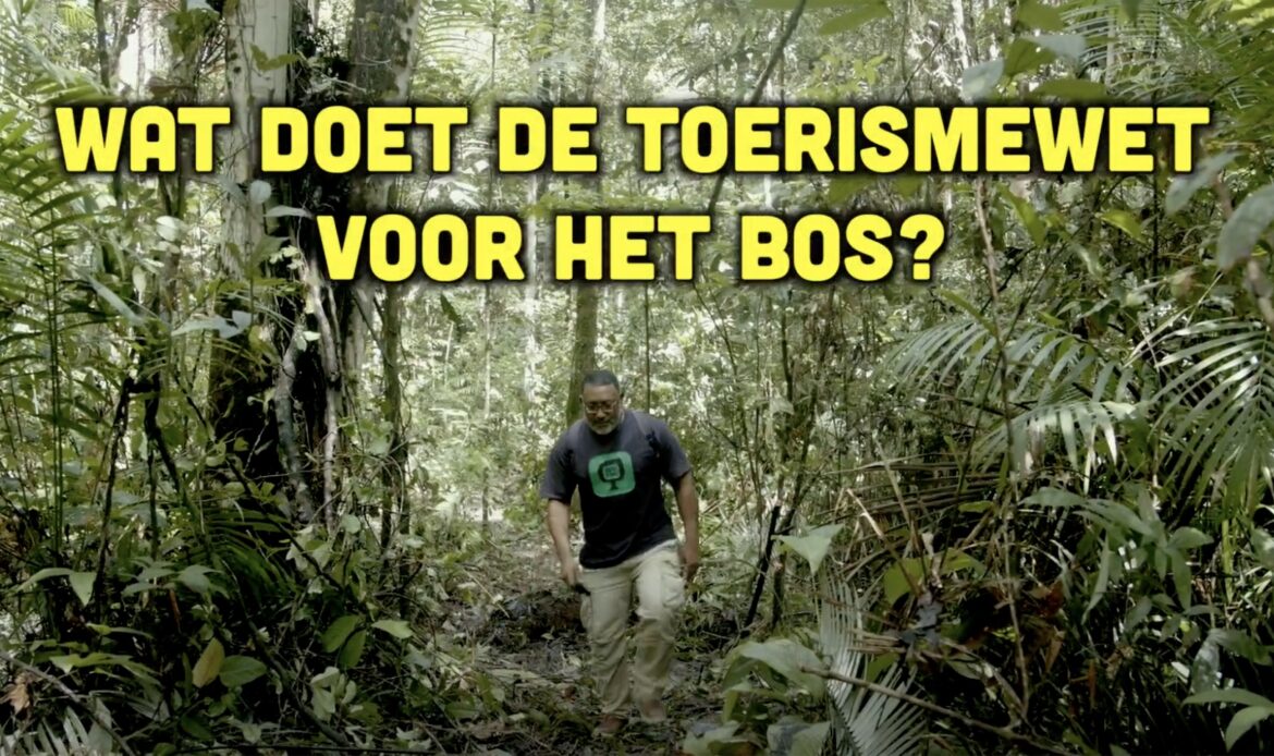 Busi Taki: Toerismewet vs het bos (S0316)