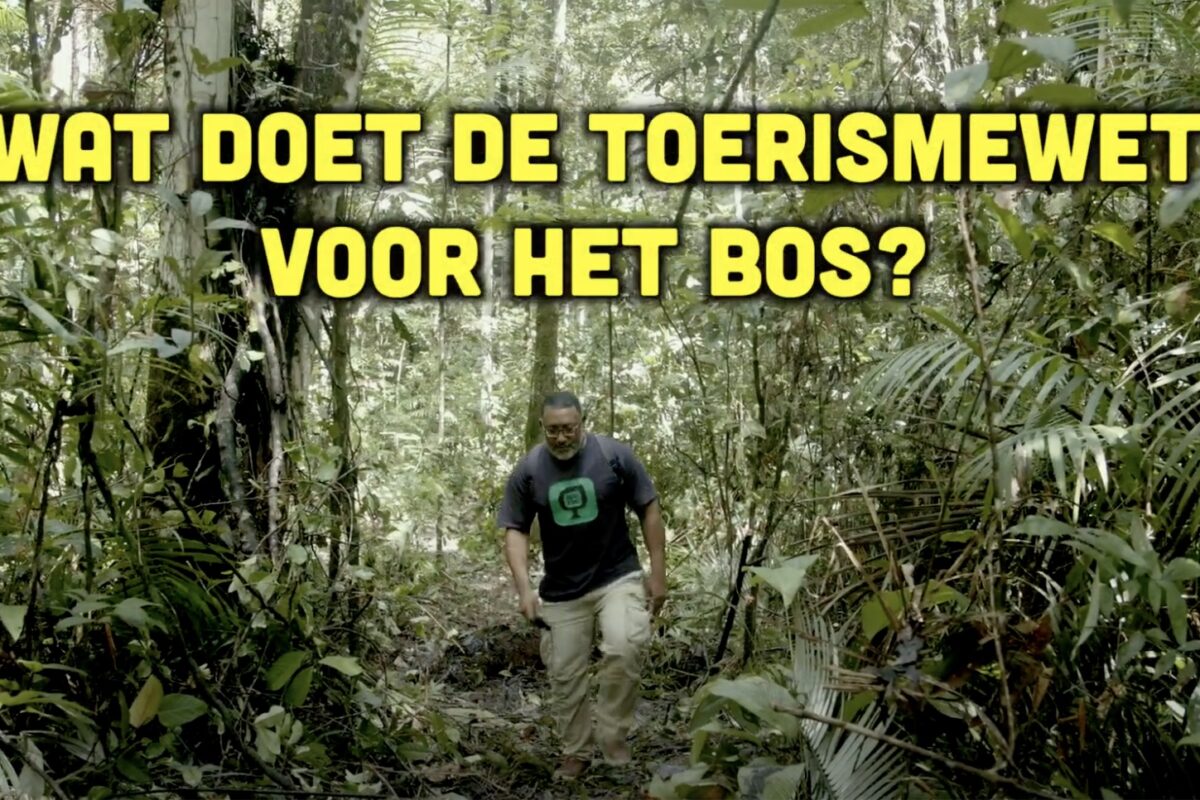 Busi Taki: Toerismewet vs het bos (S0316)