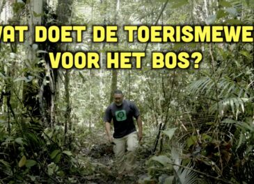 Busi Taki: Toerismewet vs het bos (S0316)