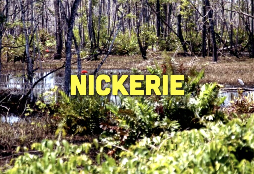 Busi Taki: beschermde natuurgebieden in Nickerie