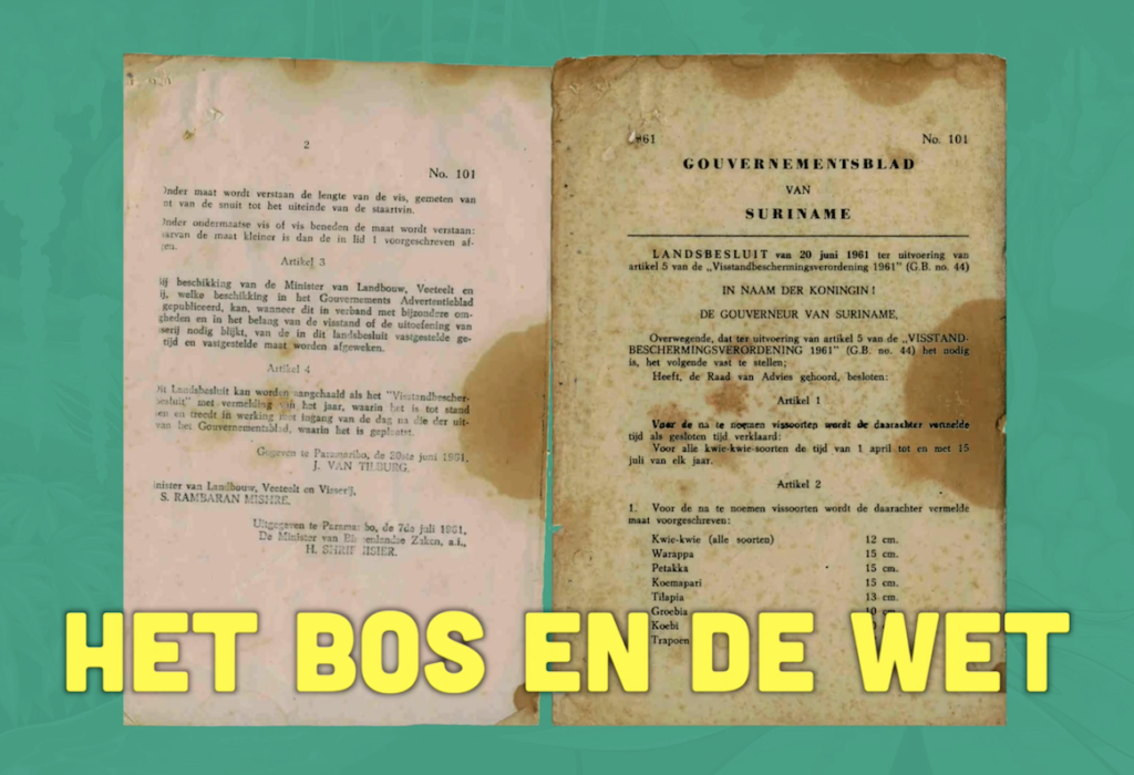 Busi Taki: Het bos en de wet