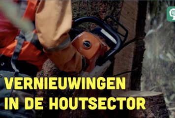 Busi Taki: Vernieuwingen in de houtsector