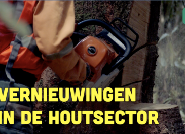 Busi Taki: Vernieuwingen in de houtsector