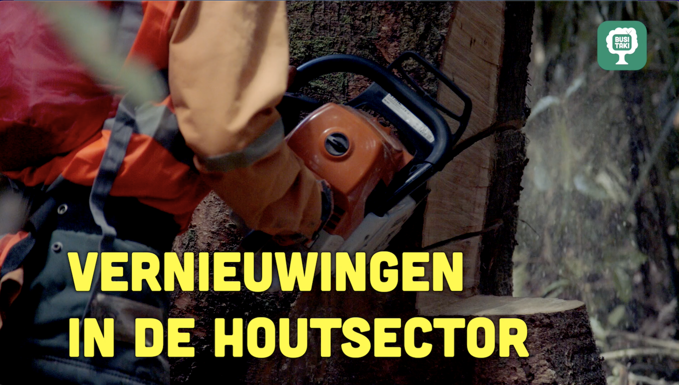 Busi Taki: Vernieuwingen in de houtsector