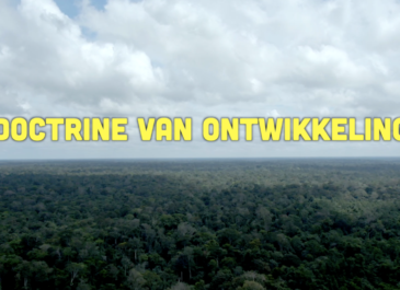 Busi Taki: Doctrine van Ontwikkeling