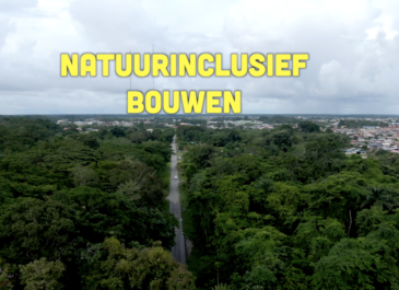 Busi Taki: Natuurinclusief bouwen